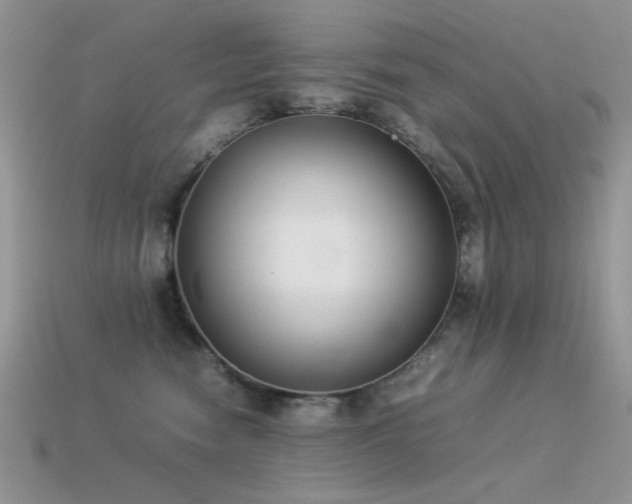 X0000113540474200909181201