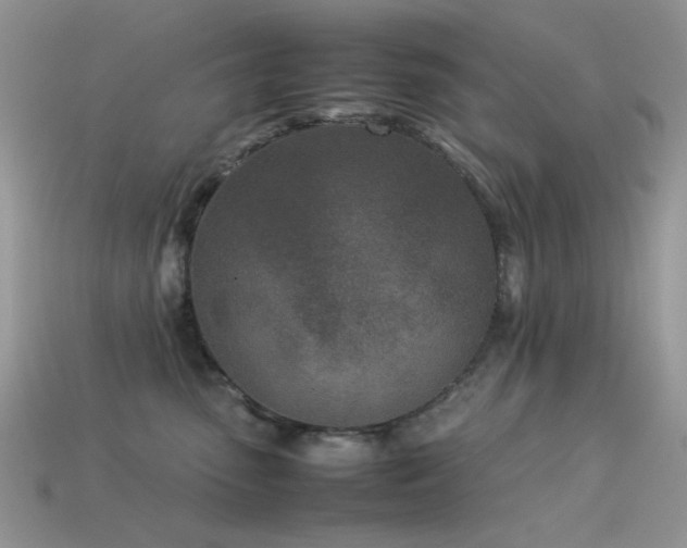 X0000113540475200909181201