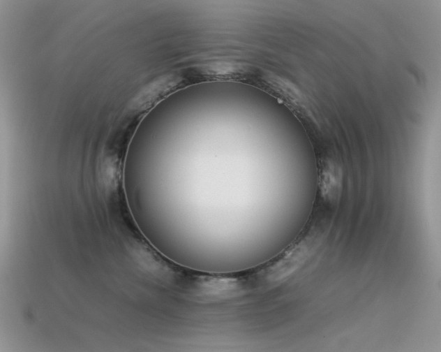 X0000113540476200909181201