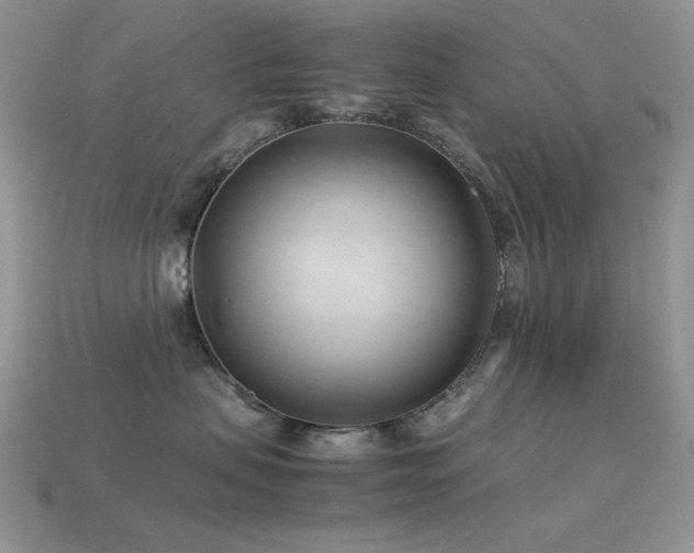 X0000113540479200909181201
