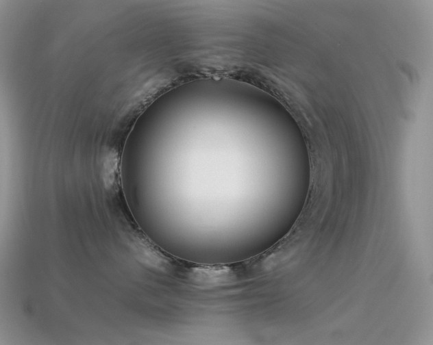 X0000113540480200909181201