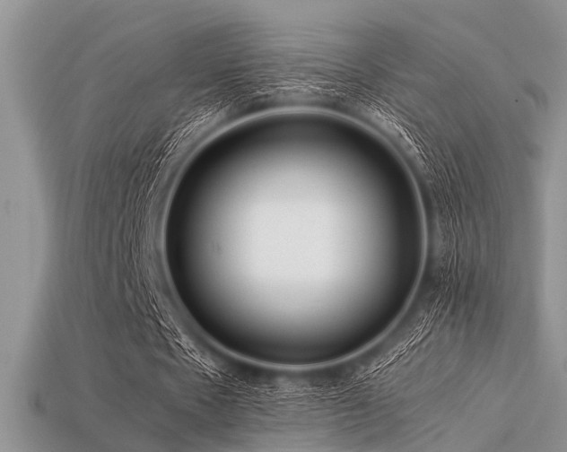 X0000113540481200909181201