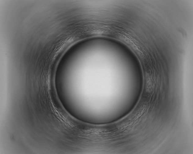 X0000113540482200909181201