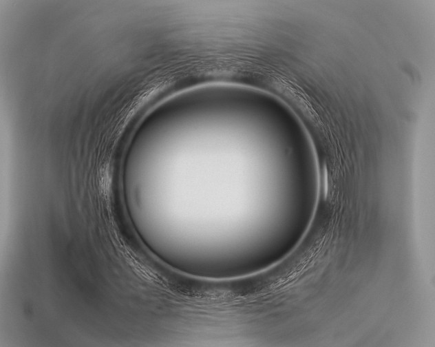 X0000113540483200909181201