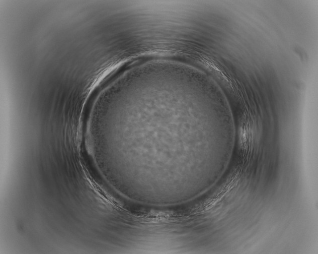 X0000113540484200909181201