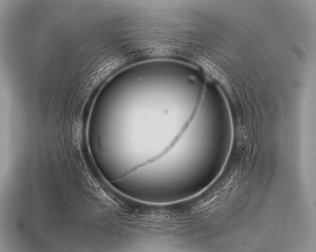 X0000113540485200909181201