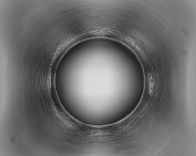 X0000113540486200909181201