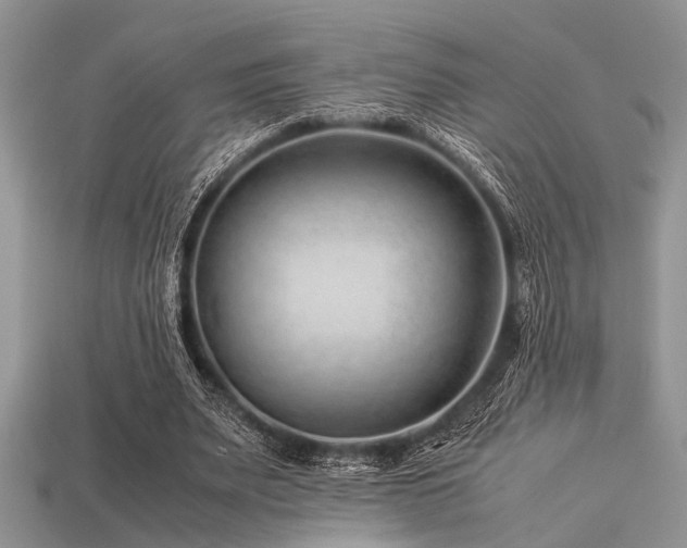 X0000113540487200909181201