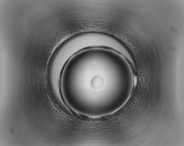 X0000113540488200909181201