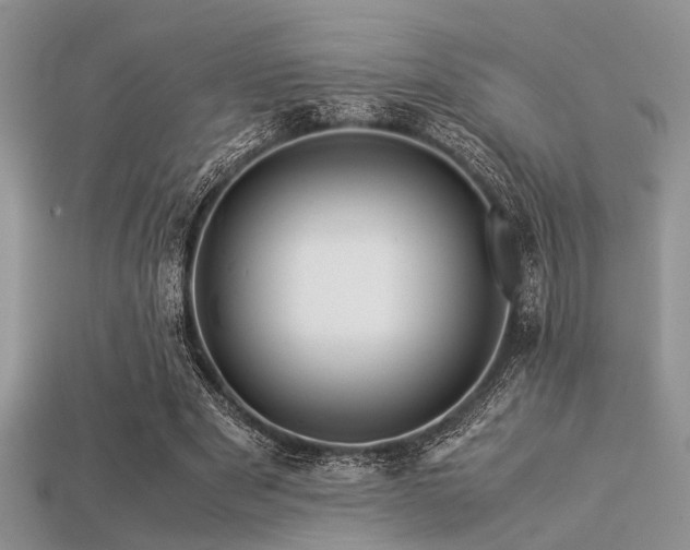 X0000113540489200909181201