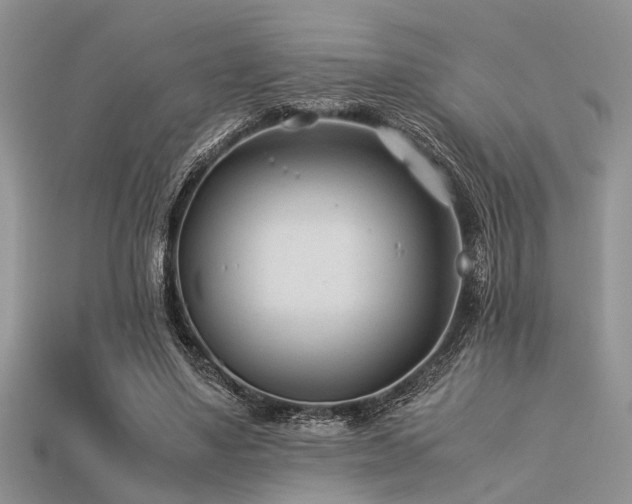 X0000113540491200909181201