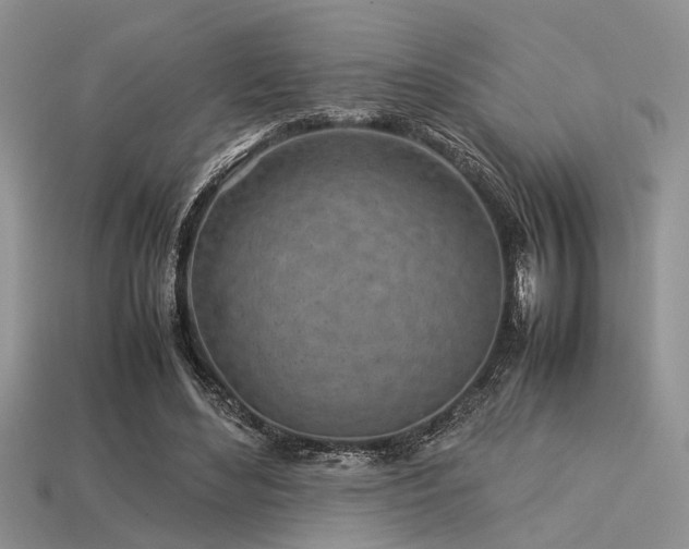 X0000113540492200909181201