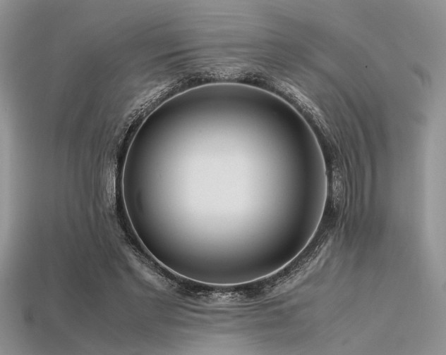 X0000113540493200909181201