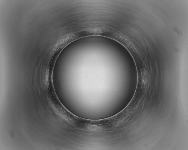 X0000113540494200909181201