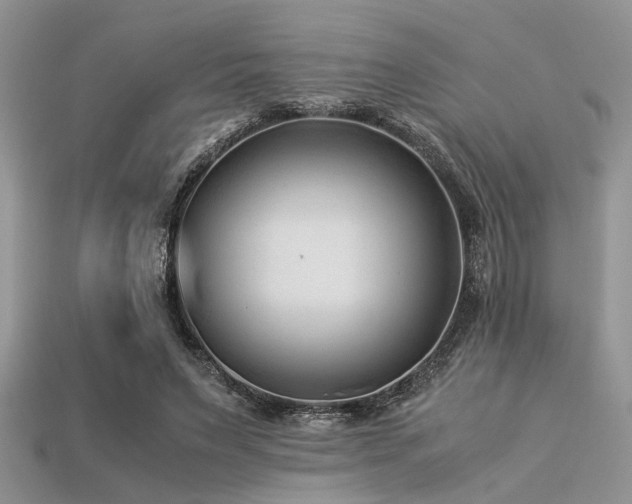 X0000113540495200909181200