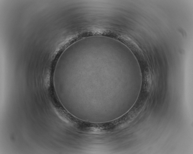X0000113540496200909181200
