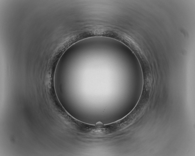 X0000113540497200909181200