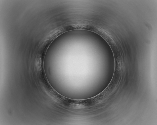 X0000113540498200909181200