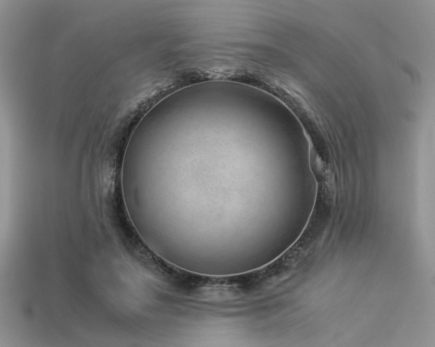 X0000113540499200909181200