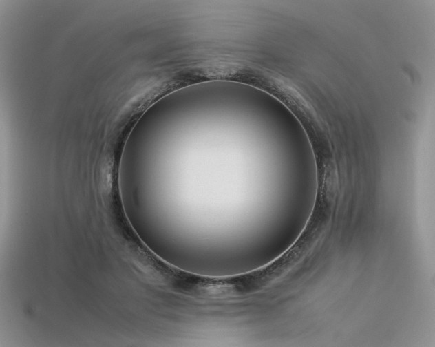 X0000113540501200909181200