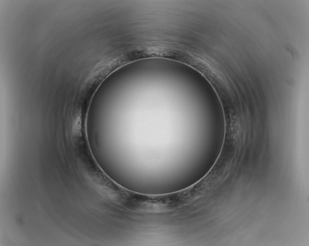 X0000113540502200909181200