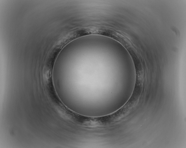 X0000113540503200909181200