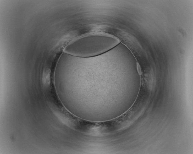 X0000113540504200909181200