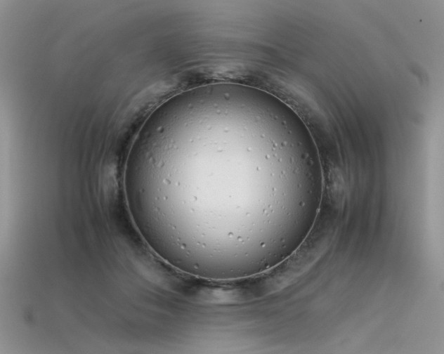 X0000113540506200909181200