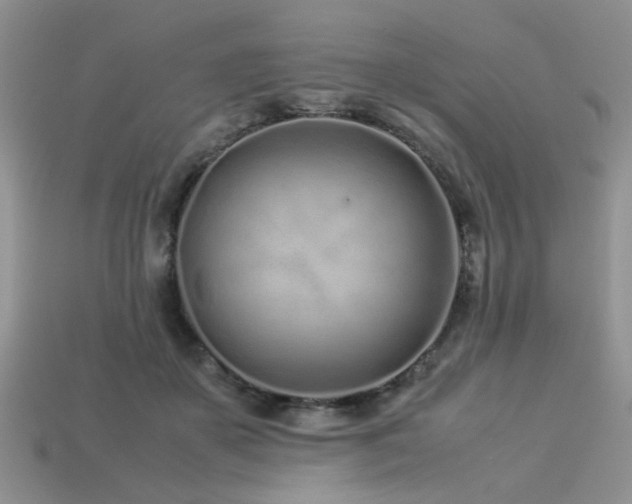 X0000113540507200909181200