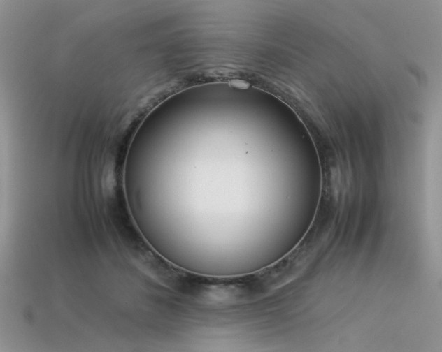 X0000113540508200909181200