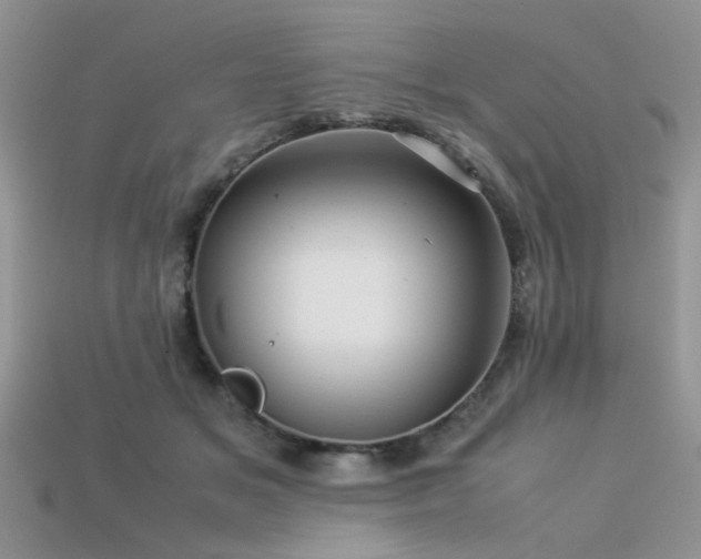 X0000113540509200909181200