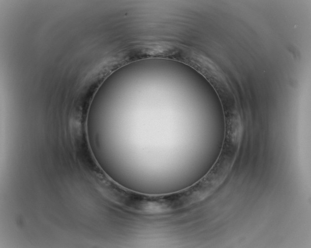 X0000113540510200909181200