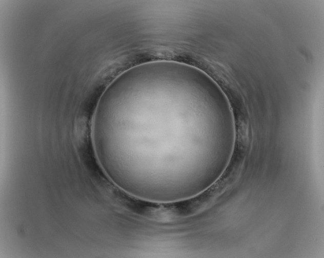 X0000113540511200909181200
