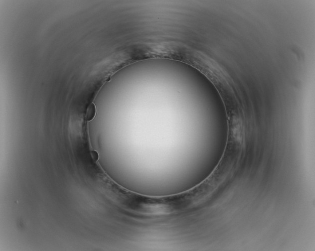 X0000113540514200909181200