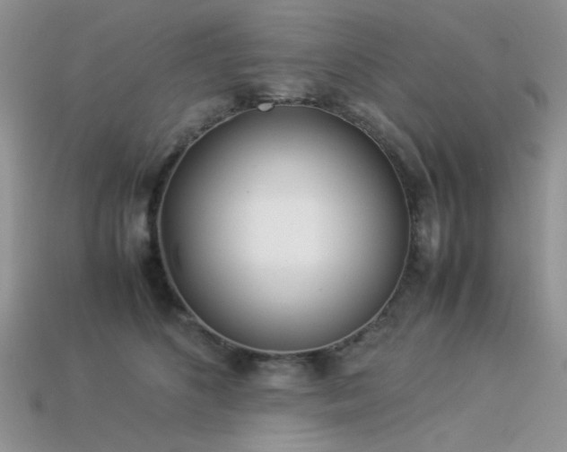 X0000113540516200909181200
