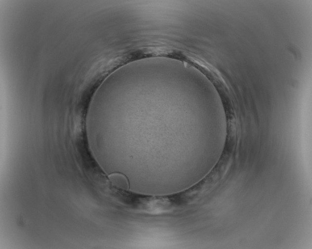 X0000113540517200909181200