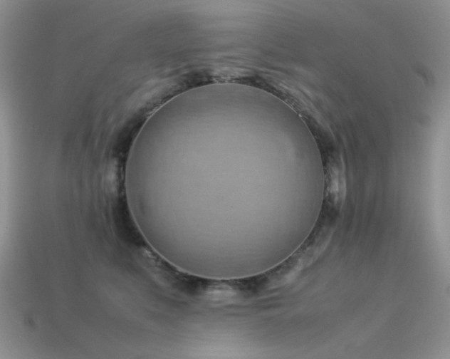 X0000113540519200909181200