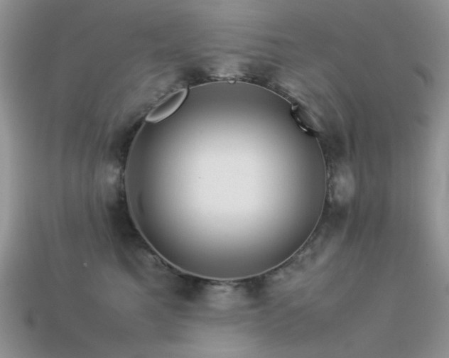 X0000113540521200909181200