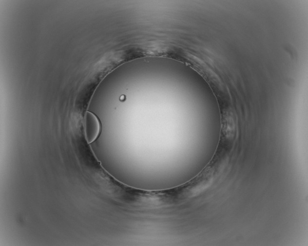 X0000113540523200909181200