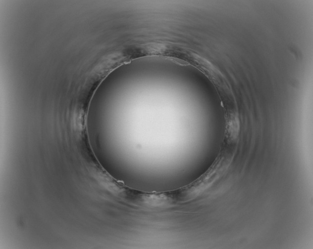 X0000113540525200909181200