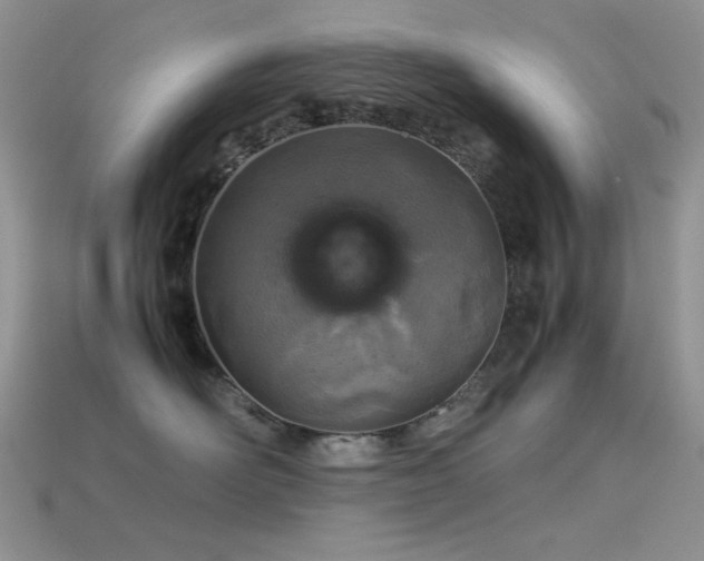 X0000113540526200909181200