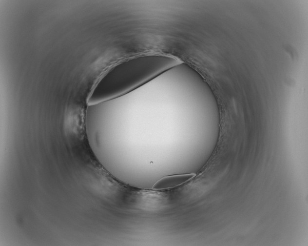 X0000113540528200909181200