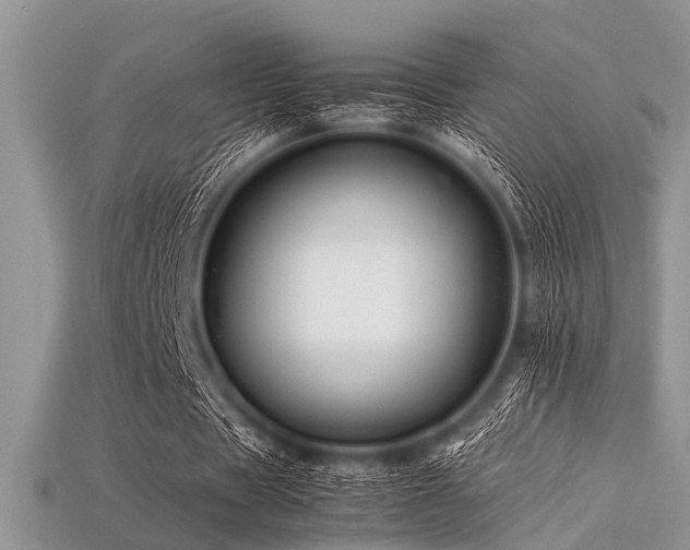 X0000113540529200909181159