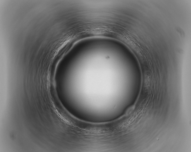 X0000113540530200909181159