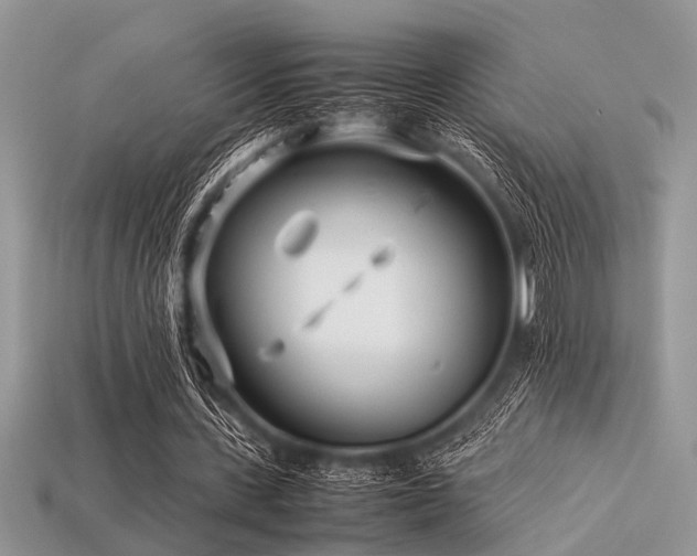 X0000113540531200909181159