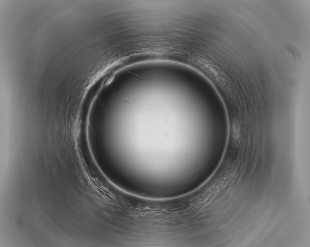 X0000113540532200909181159
