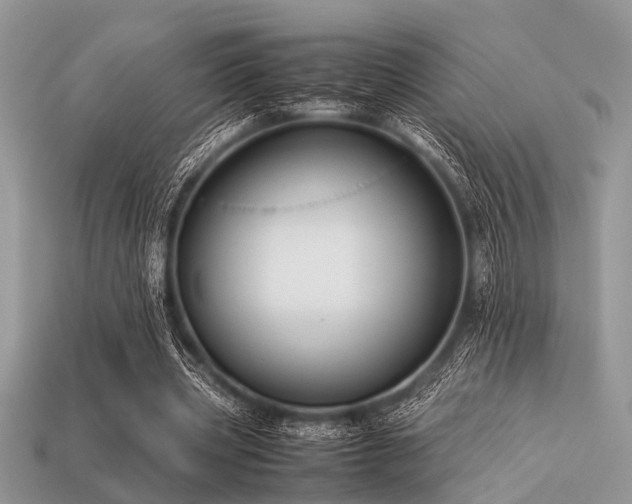 X0000113540533200909181159