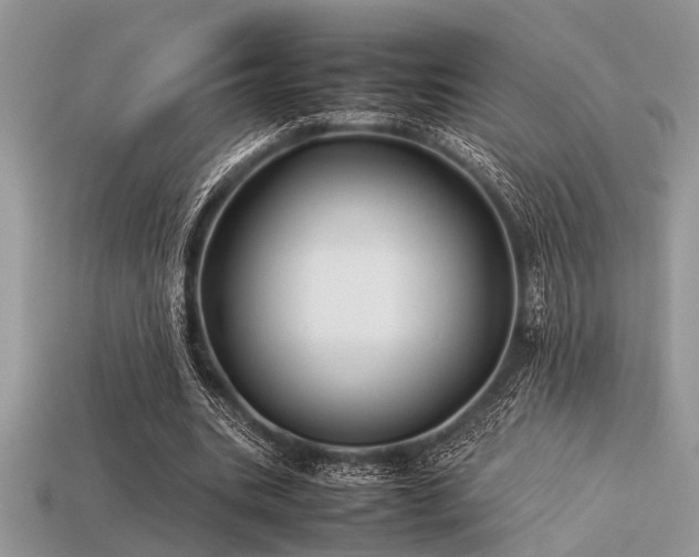 X0000113540535200909181159