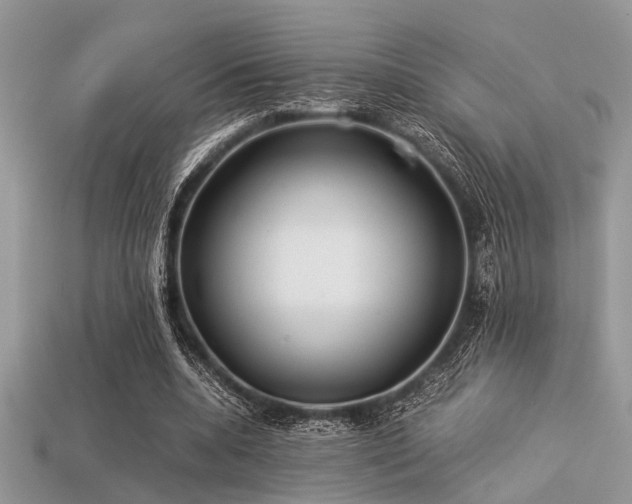 X0000113540536200909181159