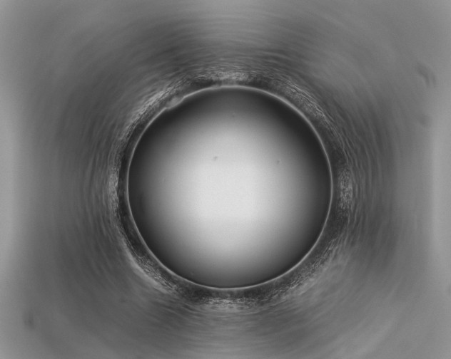 X0000113540538200909181159